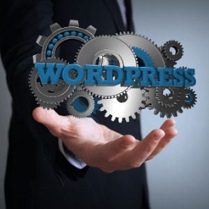 WordPress Nedir?